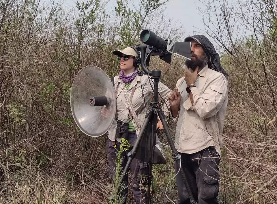 Línea de Investigación 3